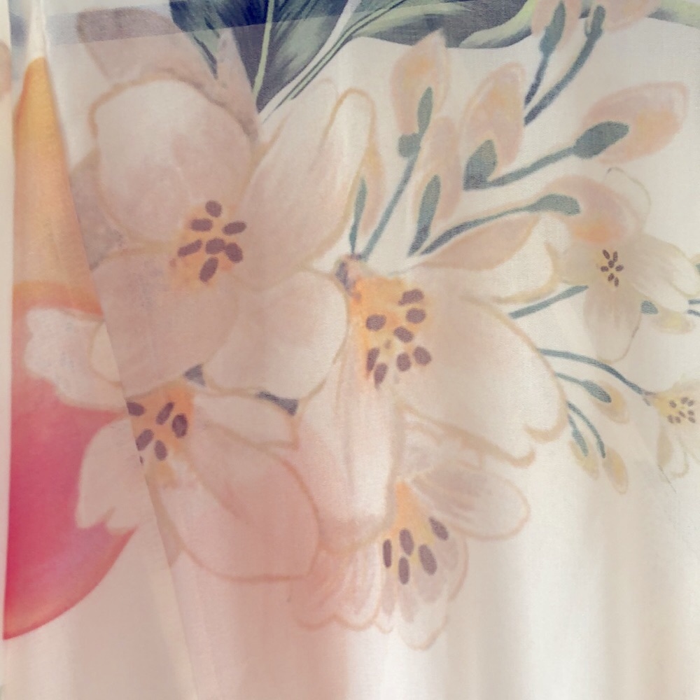 Farm Rio Eloisa Floral Sheer Dress NWOT - Picture 9 of 15